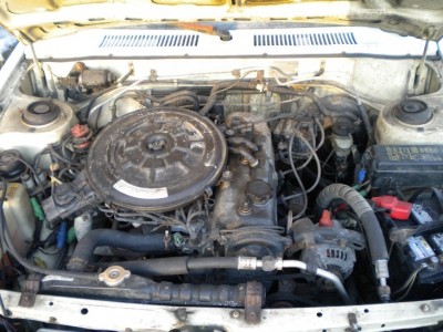 tercel8.jpg