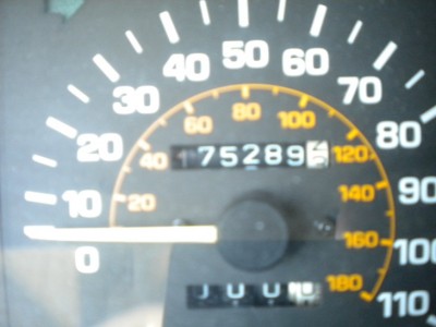tercel7.jpg
