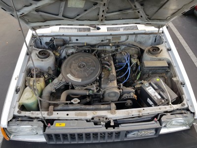 Tercel Top View.jpg