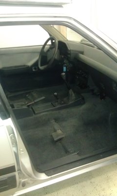 IMAG0756.jpg