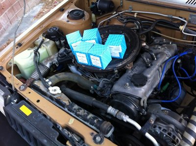 tercel2.jpg