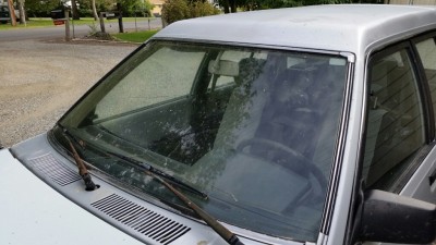 20160907_164956_resized.jpg