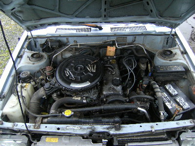 DSCF0286.jpg